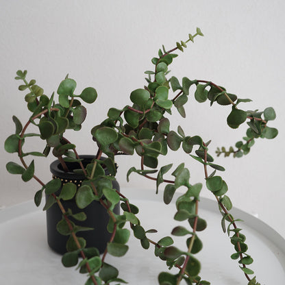 Lifelike Purslane Faux Plant for Home Decor - Charming Mini Potted Greenery with Silver Ear Leaves Perfect for Offices, Balconies, and Living Spaces