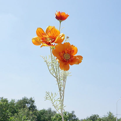 Stunning Artificial Queen Cosmos Flower - Single Stem Decorative Floral Arrangement for Home, Weddings, and Events - Perfect for Soft Decor and Stylish Embellishments