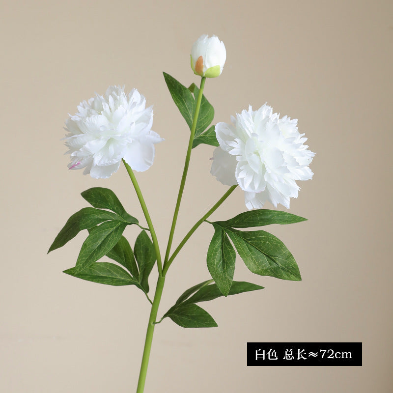 High-Quality Realistic Peony Flower Stem - Perfect Home Decor Photography Prop and Elegant Floral Arrangement Accent for Stylish Interior Design