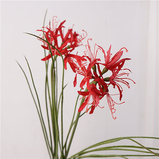 Stunning Artificial Red Spider Lily - Perfect for Photography Props, Home Decor, and Wedding Floral Arrangements