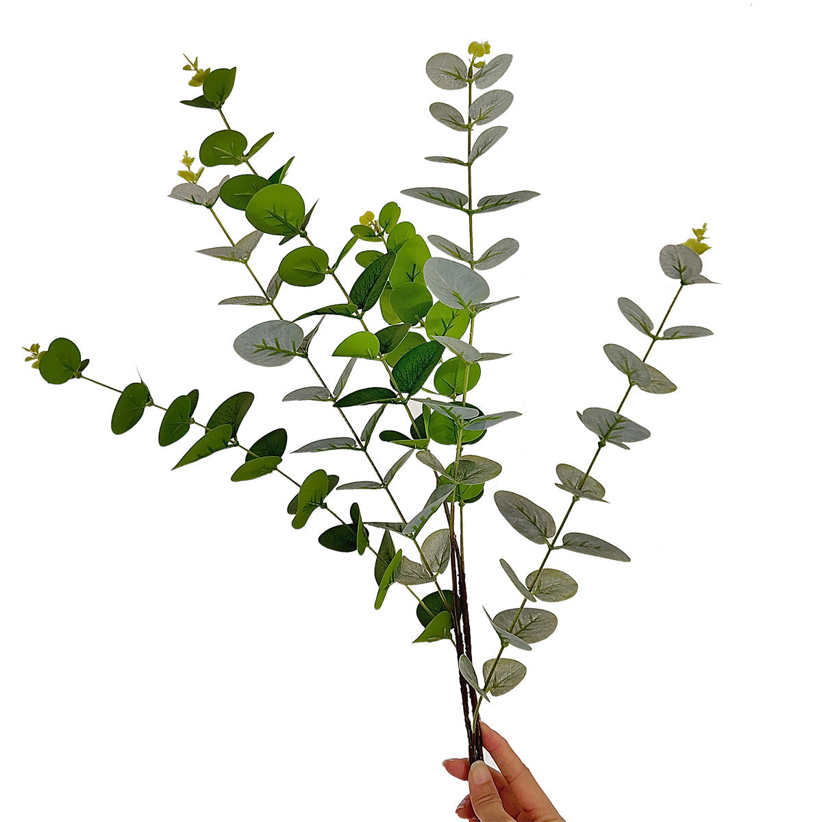 Realistic 3D Printed Eucalyptus Money Leaf Plant - Perfect for Home Decor, Wedding Arrangements, and Floral Displays - Lifelike Artificial Greenery for Lasting Beauty