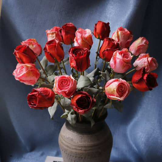 Stunning Burnt Edge Rose Bud Home Decor Piece – Perfect for Wedding Photography Props & Floral Arrangements