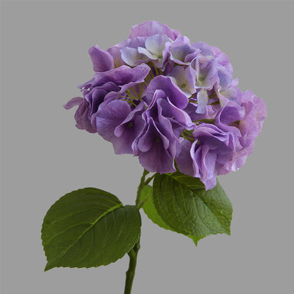 Lifelike Hydrangea Faux Flowers - Soft Gel Feel, Moisture-Retaining, Perfect for Home Decor and Wedding Events