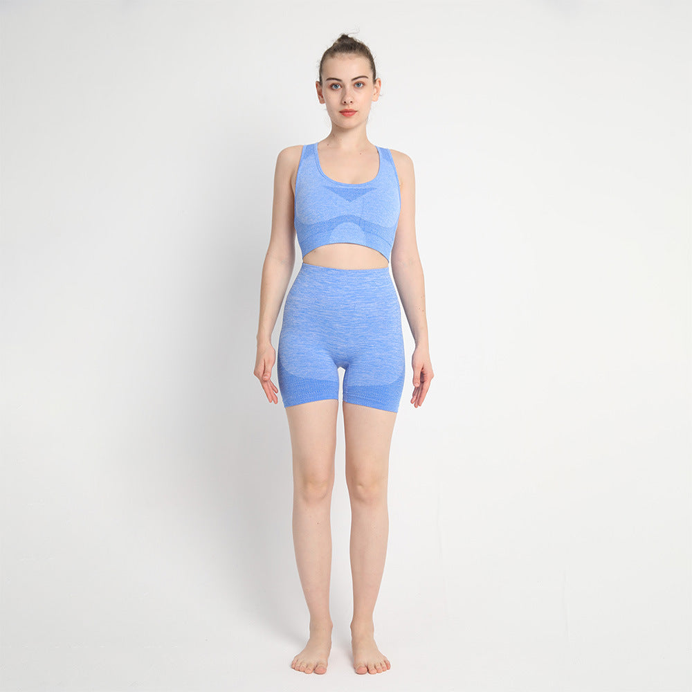 Seamless Women's Yoga Set High Waisted Butt Lifting Peach Butt Shorts and Sports Bra for Comfort and Style