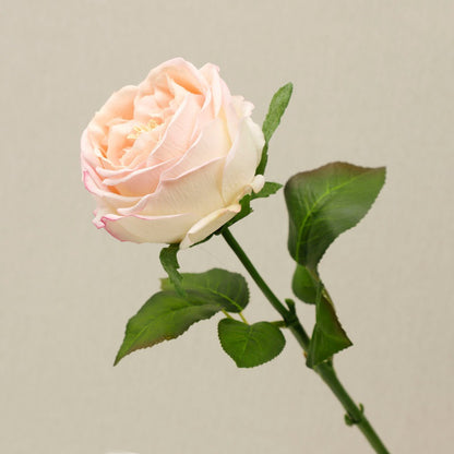 Single Stem Realistic Austin Rose - Luxurious Moisture-Infused Faux Flower for Stunning Home Decor, Perfect for Living Room Photography and Elegant Floral Arrangements