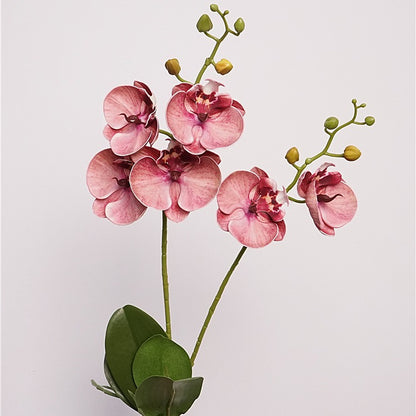 Stunning Faux Cherry Blossom Lip Orchid Arrangement with Greenery – Elegant Floral Decor for Living Room or Dining Table, Perfect Home Accent Piece