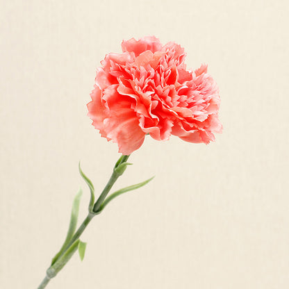 Realistic Touch Moisturizing Carnation Artificial Flower for Home and Living Room Decor - Perfect Fake Flower Gift for Mother's Day