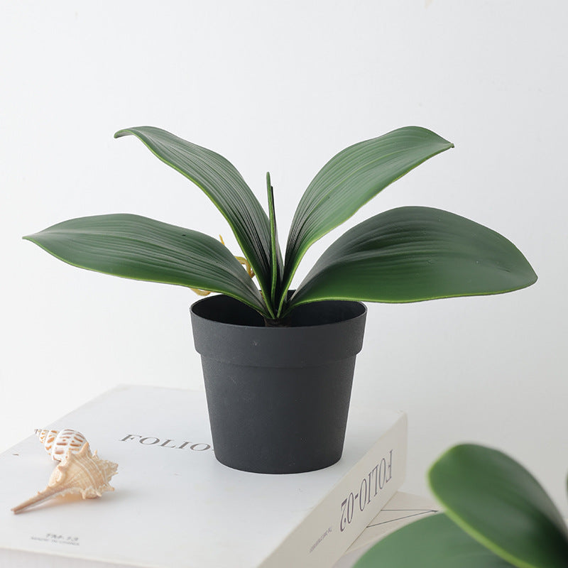 Soft Silicone Orchid Leaf Replica - Lifelike Greenery for Stunning Floral Arrangements, Perfect Home Decor and Garden Enhancements