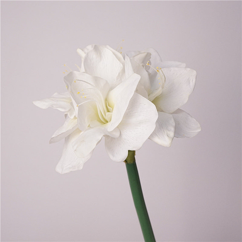 Lifelike Moisturizing Single Stem Amaryllis Flower - Ideal for Home Decor, Wedding Arrangements, and Photography Props