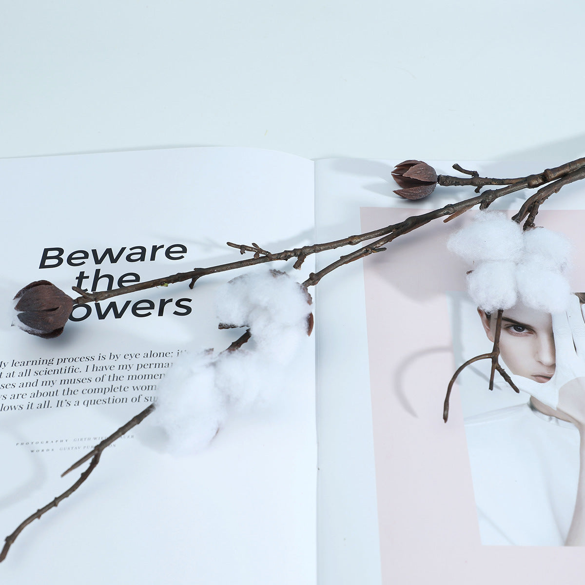 Realistic Faux Cotton Branch - Scandinavian Style Home Decor Accent and Perfect Floral Prop for Photography