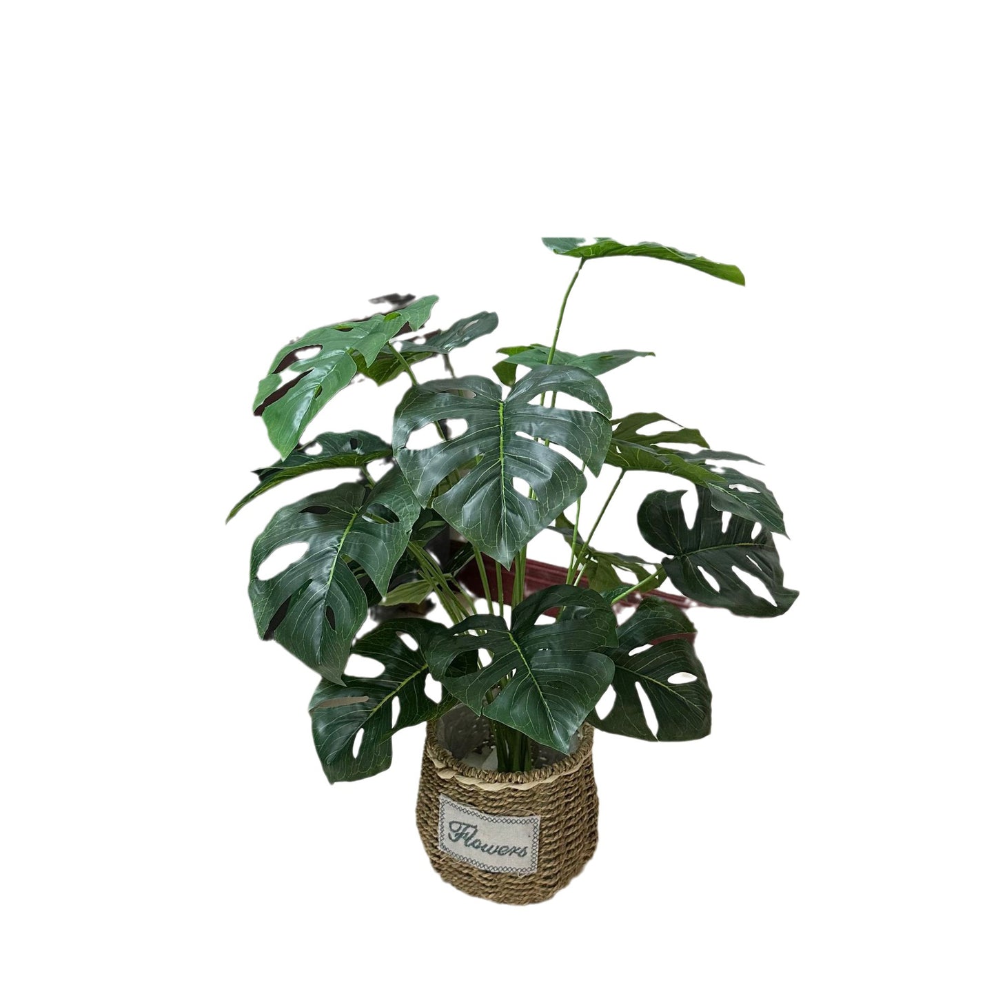 Lifelike Monstera Plant with Large Leaves - Perfect Indoor and Outdoor Decorative Potted Greenery for Home, Office, and Landscape Photography