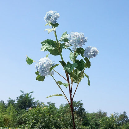 Realistic Faux Hydrangea Silk Flowers - 4-Headed Decorative Home Accents for Weddings, Photography, and Elegant Decor