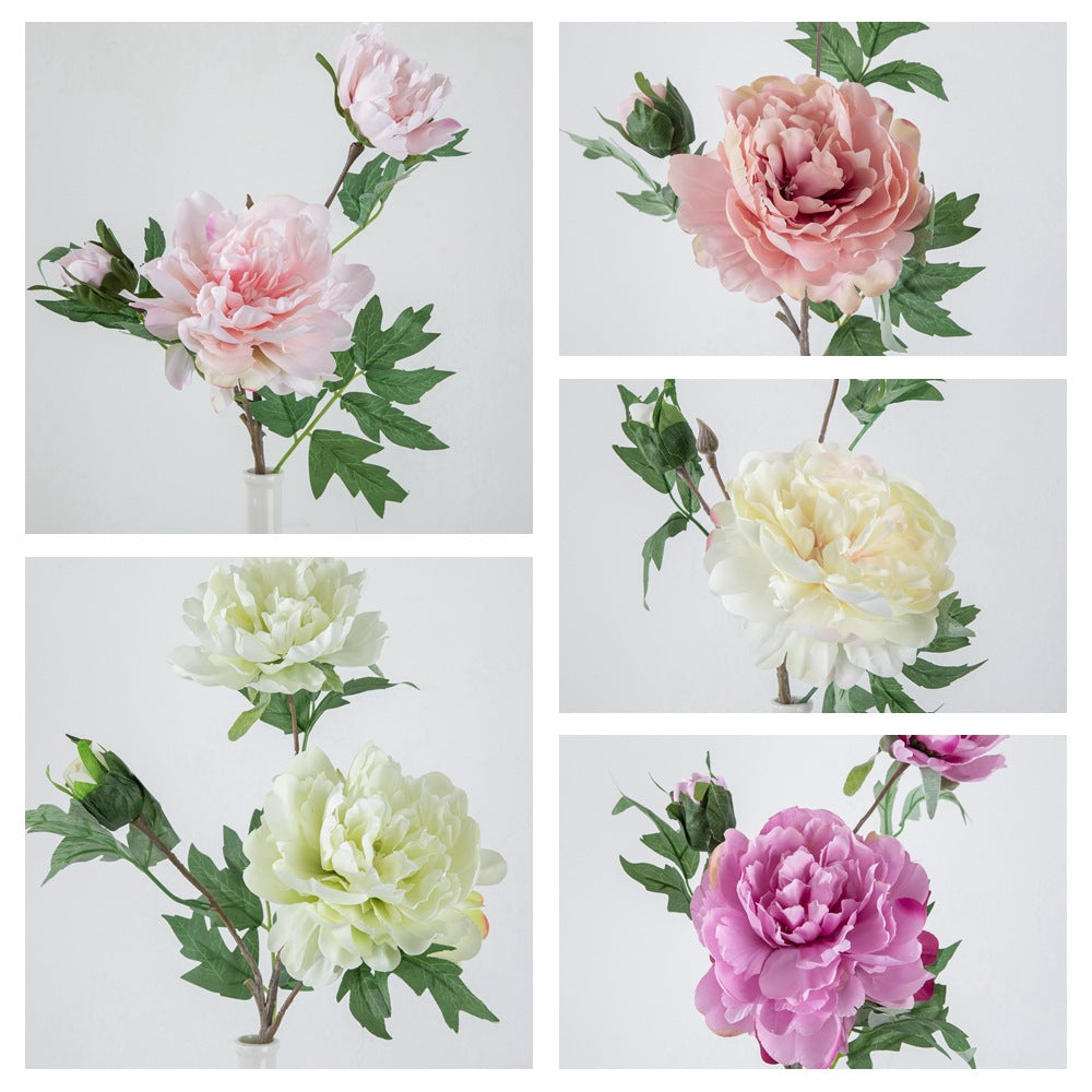 Single Stem Artificial Peony Flower for Home Decoration | Wedding Bouquet, Aisle Arrangements, and Floral Wall Décor - DY1-1911A