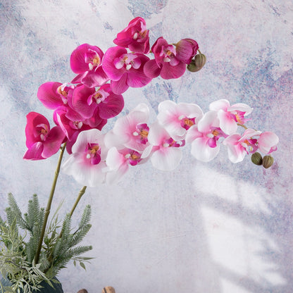 Lifelike Moist Touch Faux Phalaenopsis Orchid - Perfect for Weddings and Home Decor - Realistic Artificial Flowers for Elegant Arrangements - Model MW18902