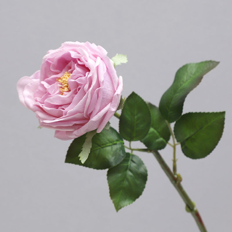 Single Stem Realistic Austin Rose - Luxurious Moisture-Infused Faux Flower for Stunning Home Decor, Perfect for Living Room Photography and Elegant Floral Arrangements