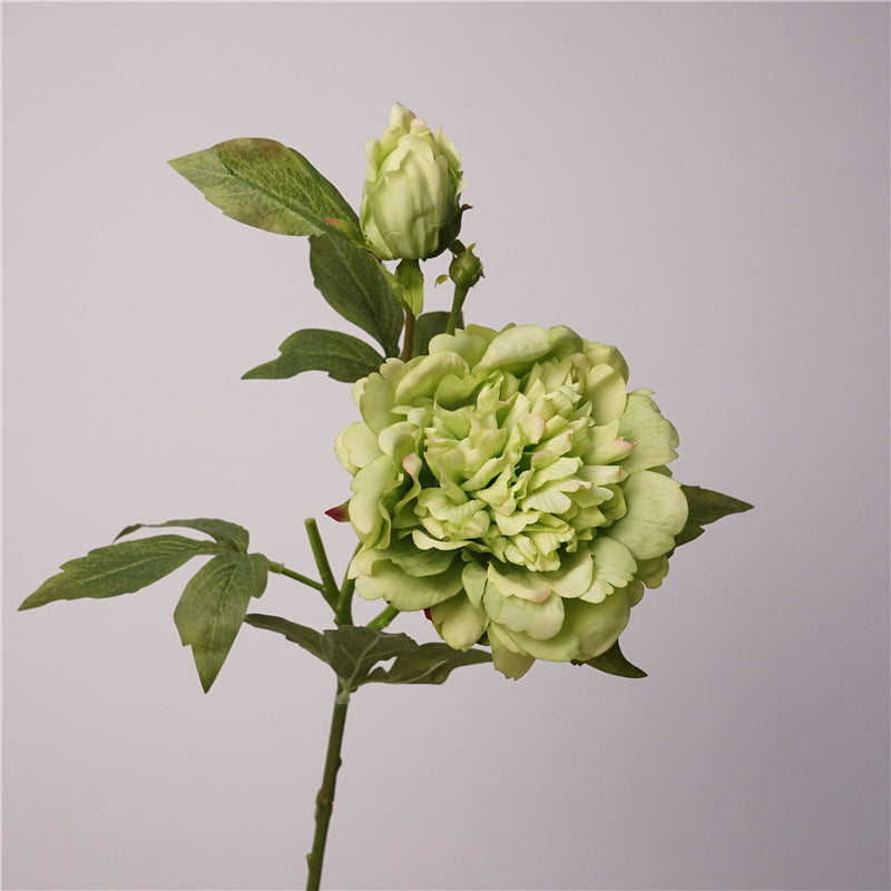 Soft Touch Moisturizing Peony and Peony Artificials - Elegant Indoor Home Decoration, Perfect Floral Arrangement for Stunning Photography Props