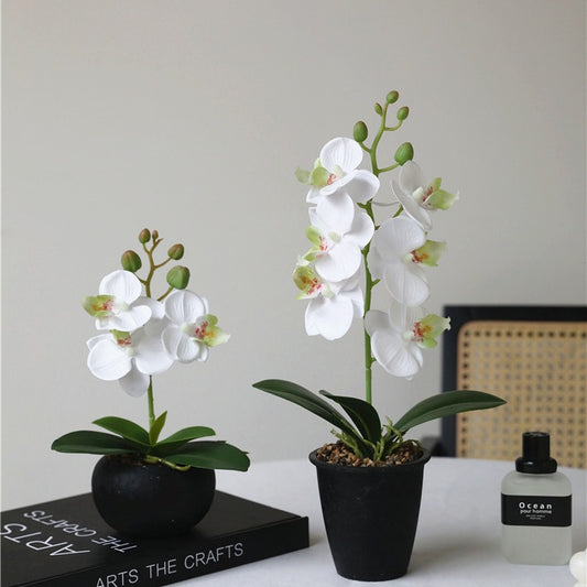 Realistic Touch Faux Orchid Potted Plant – Elegant Magnolia Simulation Flower Arrangement for Home, Office, Dining Room, and Living Room Décor