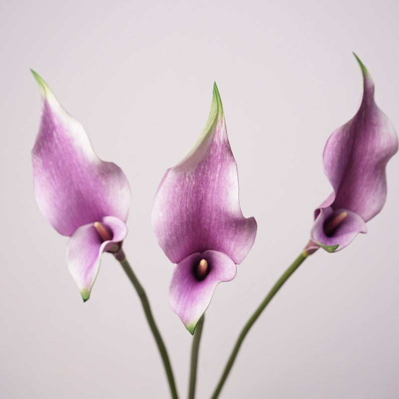 Realistic Calla Lily Artificial Flowers for Home Decor - Stunning Bridal Bouquets, Business Event Floral Styling, and Photography Props