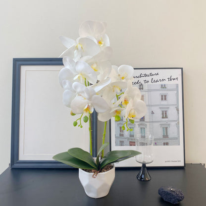 Realistic 3D Printed Orchid Planter Set with Vase – Stunning Artificial Flower Decor for Elegant Home Interiors