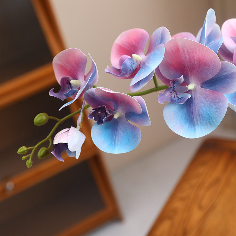 Realistic 3D Printed 9-Head Macaron Phalaenopsis Orchid - Elegant Luxury Home Décor Floral Arrangement for Stylish Model Rooms