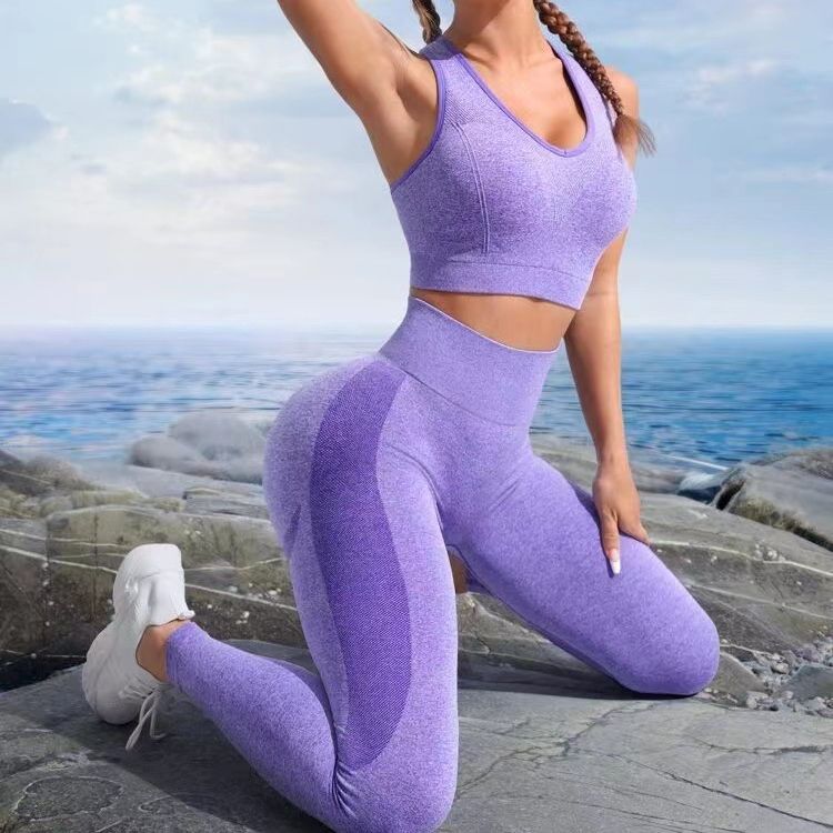 Seamless Yoga Set Back Cutout Sports Bra High Waisted Butt Lifting Yoga Pants for Comfort and Style