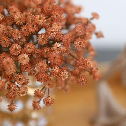 Charming Baby's Breath Plastic Flower Bouquet - Beautifully Crafted Faux Floral Decor for Home Decoration