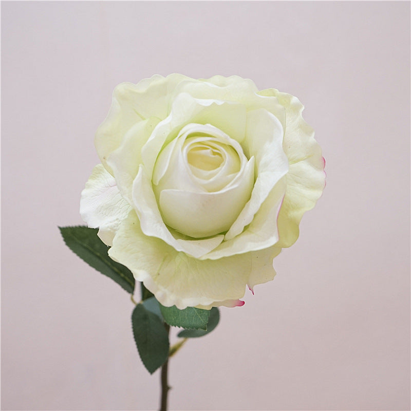 Quality Soft Feel Moisturizing Rose Stem - Elegant Minimalist Floral Decoration for Weddings and Home Decor