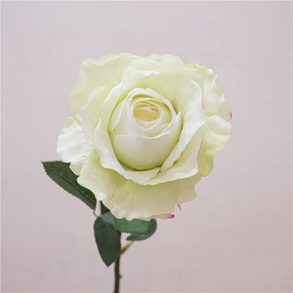 Quality Soft Feel Moisturizing Rose Stem - Elegant Minimalist Floral Decoration for Weddings and Home Decor