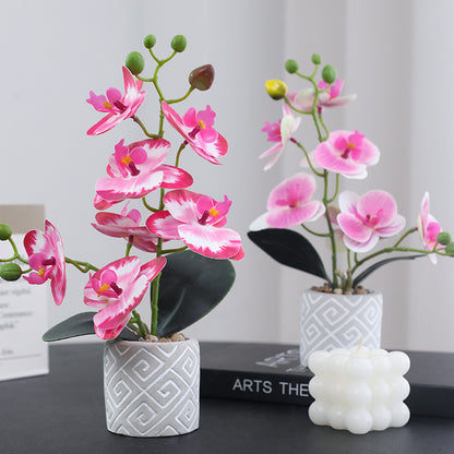 Stunning 2-Branch Orchid Plant Pot - Lifelike Home Décor Floral Arrangement - Perfect Indoor Butterfly Orchid Bonsai & Elegant Housewarming Gift