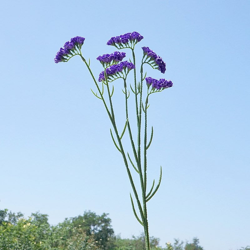 Elegant Faux Forget-Me-Not Flowers - 6-Head Starlight Home Décor Accent for Weddings, Photography, and Interior Styling