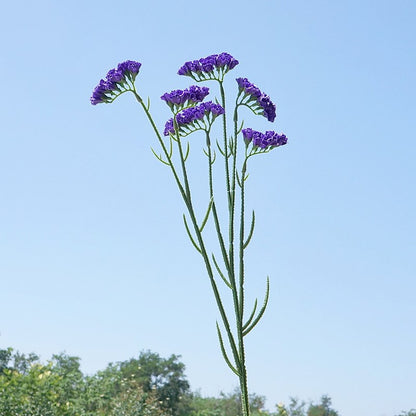 Elegant Faux Forget-Me-Not Flowers - 6-Head Starlight Home Décor Accent for Weddings, Photography, and Interior Styling