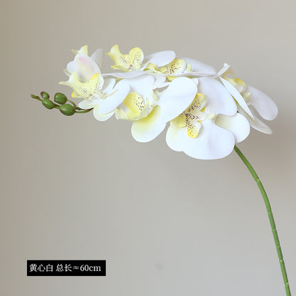 Elegant 3D Printed Realistic Single Stem 7-Head Phalaenopsis Orchid - Luxurious Home Décor for Living Room and Dining Table Arrangements