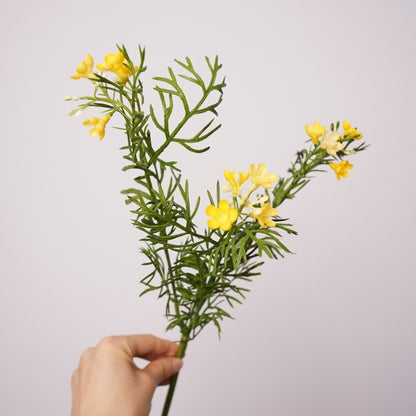 Charming Artificial Daisy Bouquet - Realistic Chamomile Flower Arrangements for Living Room Decor - Beautiful Wildflower Inspired Faux Dried Flower Display - Fresh and Elegant Dutch Daisy Home Accent