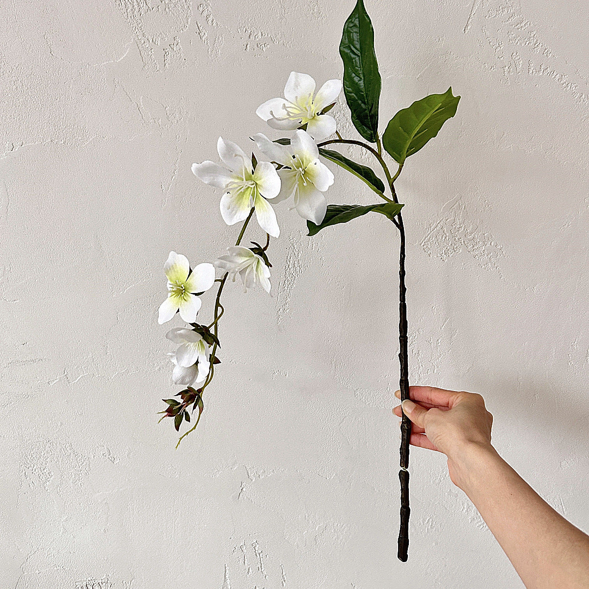 Realistic 3D Printed Jasmine Flower & Silk Begonia Artificial Flowers - Perfect for Home Décor, Indoor Landscaping, Photography Props & More