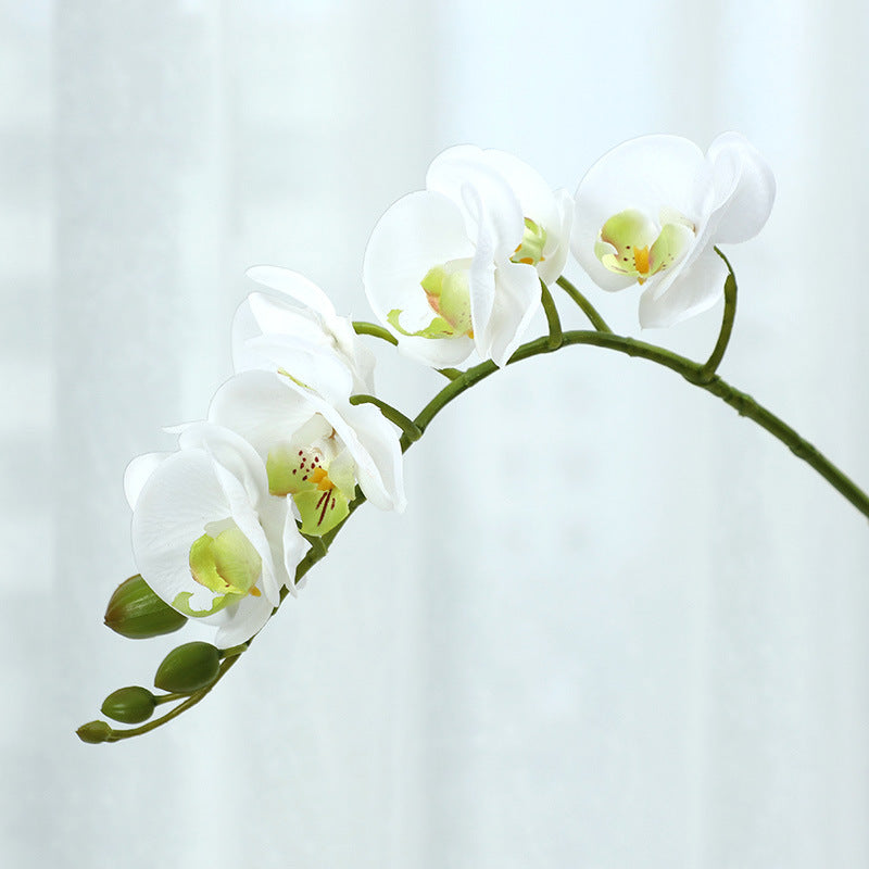 Realistic Miniature Touch Orchid - Moisture-Resistant Faux Flower for Home Decor, Perfect as Photography Prop and Stylish Decorative Accent