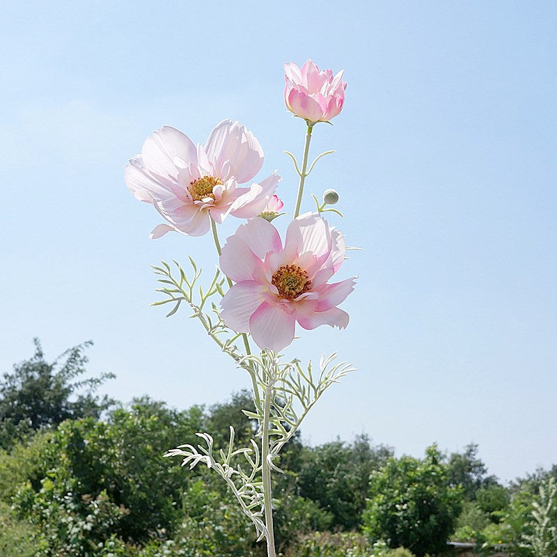 Stunning Artificial Queen Cosmos Flower - Single Stem Decorative Floral Arrangement for Home, Weddings, and Events - Perfect for Soft Decor and Stylish Embellishments