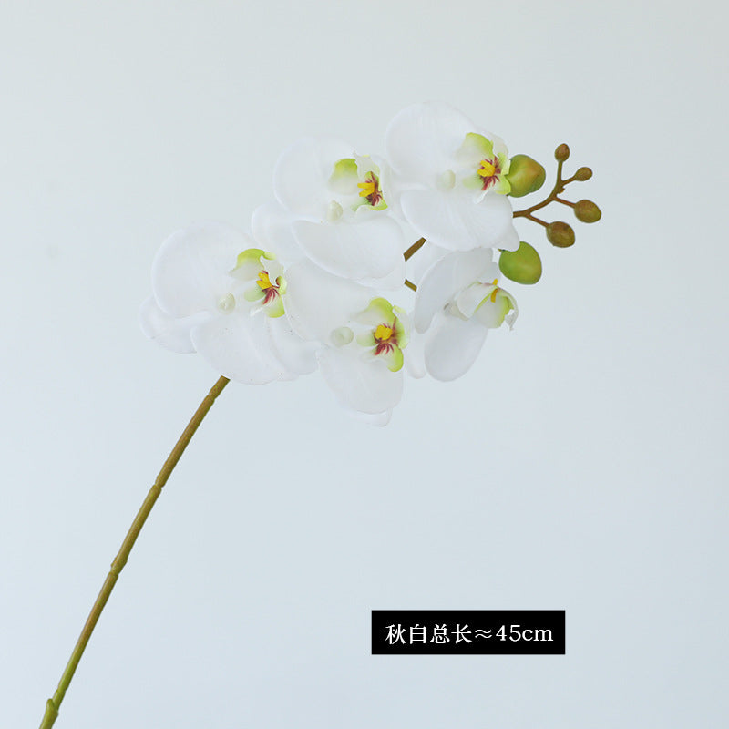 Luxurious Single Stem 5-Head Orchid Simulation Flower for Home and Hotel Decor – Perfect for Weddings, Events, and Stylish Interiors