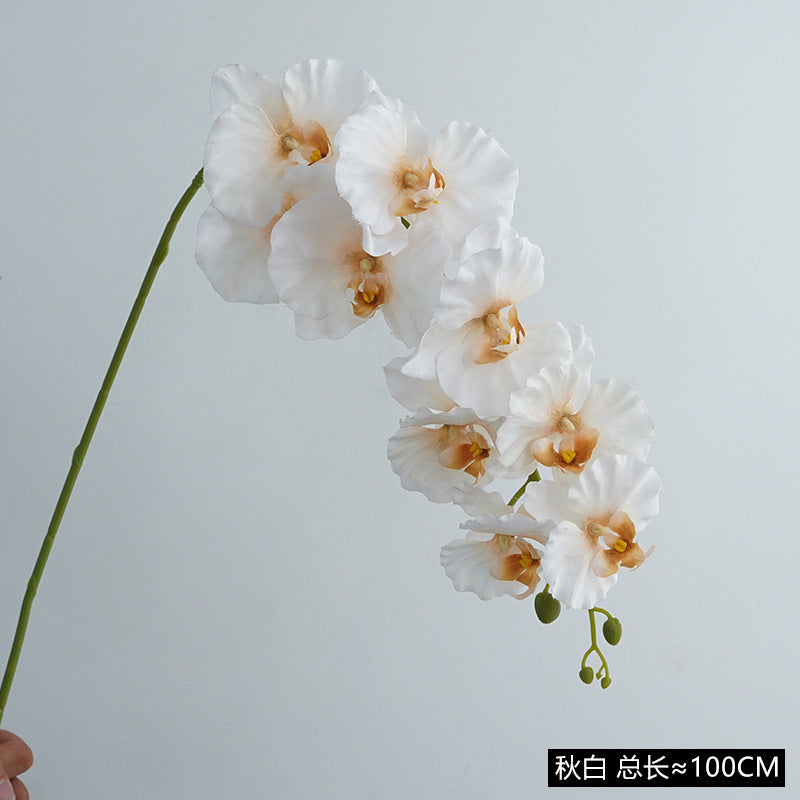 Realistic Single Stem 9-Head European Style Orchid - Perfect for Wedding Decorations & Home Décor, Lifelike Artificial Silk Flowers in Elegant Design