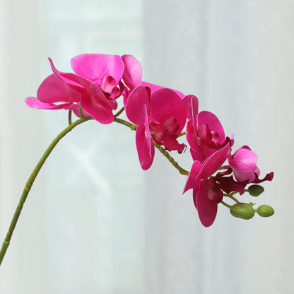 Realistic 3D Printed 7-Head Phalaenopsis Orchid Artificial Flowers – Stunning Home and Living Room Decor with Elegant Potted Arrangement