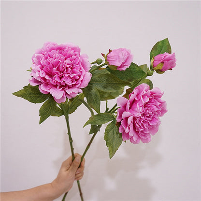 Soft Touch Moisturizing Peony and Peony Artificials - Elegant Indoor Home Decoration, Perfect Floral Arrangement for Stunning Photography Props