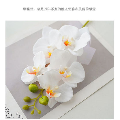 High-Quality Artificial Orchid Flowers - Luxurious 5-Head Faux Phalaenopsis Bloom for Elegant Home Decor and Stunning Photography Props