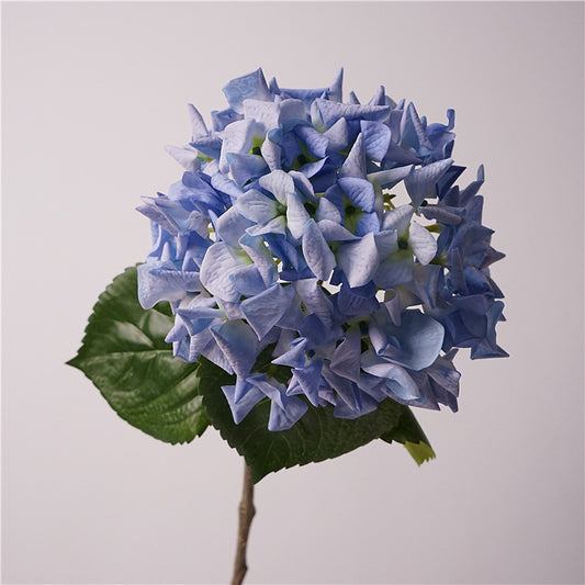 Quality Hydrangea Single Stem Decor - Luxurious, Moisture-Resistant Faux Floral Arrangement for Home Dining Table and Photography Props