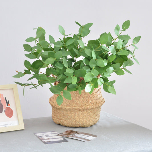 Realistic Eucalyptus Leaf Faux Flower with Moisture-Like Double-Layered Leaves and Trifoliate Lemon Leaves - Perfect for Home Decor and Lasting Beauty