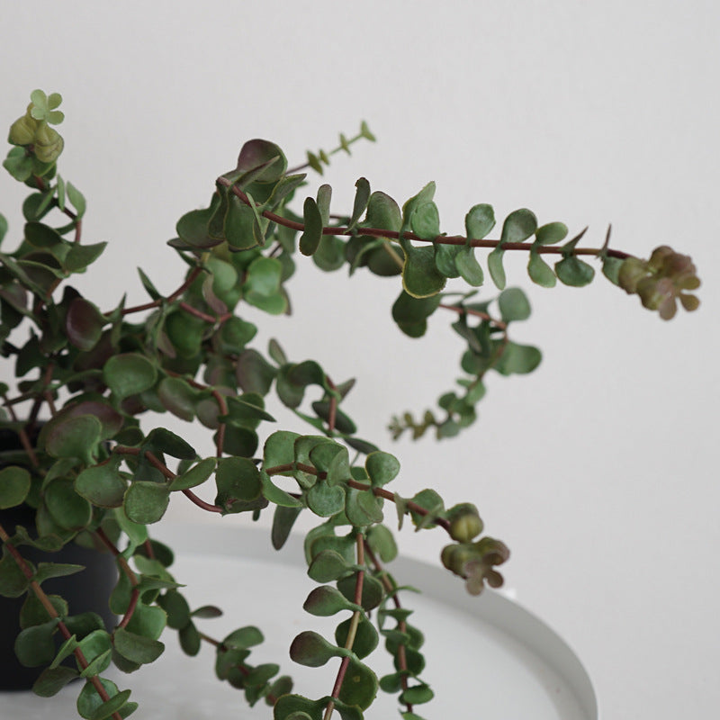 Lifelike Purslane Faux Plant for Home Decor - Charming Mini Potted Greenery with Silver Ear Leaves Perfect for Offices, Balconies, and Living Spaces