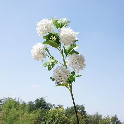 Lifelike Snowball Flower Bouquet - 5-Head Hydrangea Faux Flowers for Home Decor, Dining Room, Wedding Celebrations, and Photography Props