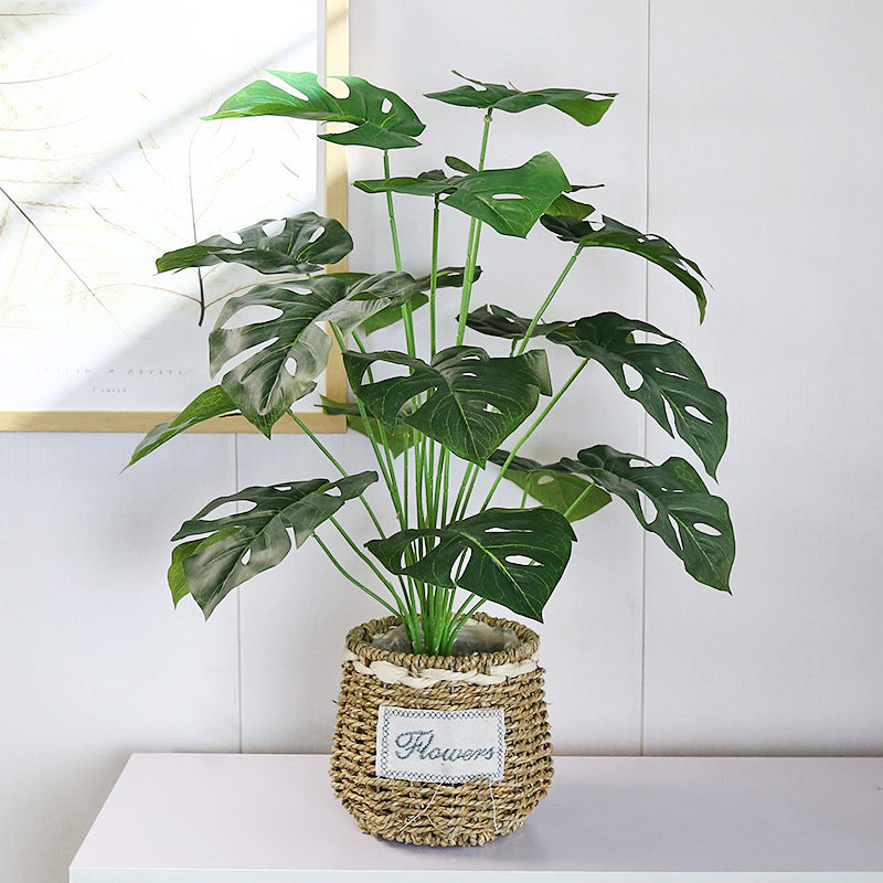 Lifelike Monstera Plant with Large Leaves - Perfect Indoor and Outdoor Decorative Potted Greenery for Home, Office, and Landscape Photography