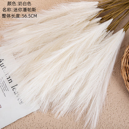 Mini Pampas Grass Faux Flowers – INS Style for Stunning Home Décor and Wedding Decorations | MW85102