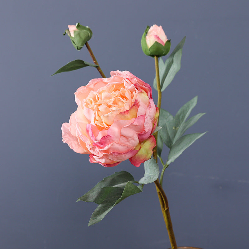 Realistic Faux Edge Peony Silk Flower - Single Stem with 3 Buds - Perfect for Weddings, Living Room Decor, and DIY Craft Projects