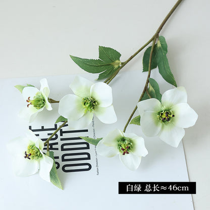 Realistic 5-Head Christmas Rose: Perfect Prop for Photography, Wedding Decorations, Home Decor, and Festive Arrangements