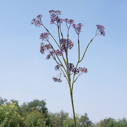 Lifelike Faux Fennel Flower Branches - Versatile Plastic Home Decor for Weddings, Rustic Touches, and Seasonal Arrangements